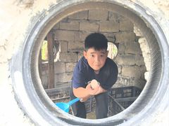 -樂桃源奉贤黄桃种植采摘基地