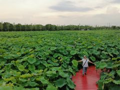 -嘉北郊野公园