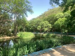 -白水寺森林公园