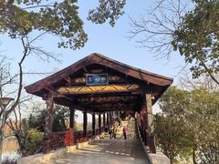 -长广溪湿地公园