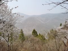 -北京鹫峰国家森林公园