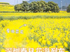 -光明小镇欢乐田园