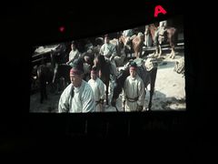 -枫花园汽车电影院(朝阳公园店)