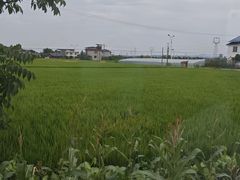 -临江后街鳝丝(临江店)