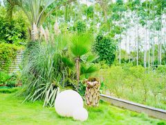 -云里小坐·小院里·团建·宴请·下午茶(三圣乡店)