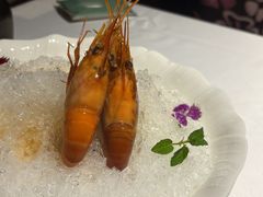 -南麓·浙里(外滩店)