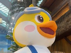 -青岛东方影都融创水世界