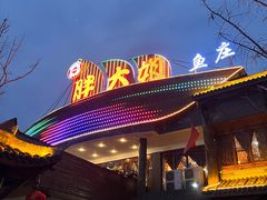 -胖大姐黄辣丁鱼庄(新津店)