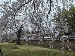 -醍醐寺
