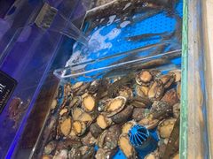 -加餐海鲜自助(宝龙一城店)