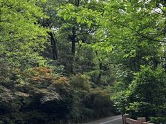 -杭州半山国家森林公园