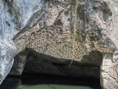 -柯岩风景区