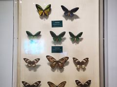 -陕西自然博物馆