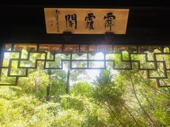 -秋霞圃