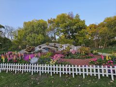 -上海共青森林公园