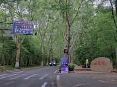 -紫金山山顶公园