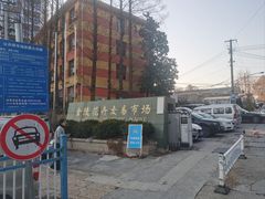 -金陵花卉交易市场