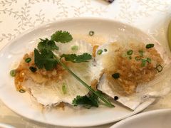 蒜蓉粉丝蒸元贝-强记海鲜·大排档(蛇口新街店)
