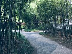 -江宁织造博物馆
