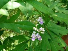 -大平台龙居瀑布旅游区
