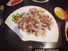 活章鱼-普乐酱蟹(coex店)