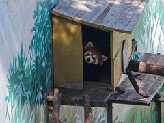 -西霞口神雕山野生动物世界