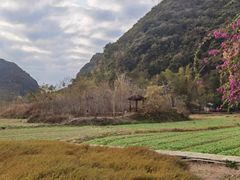 -靖西鹅泉风景区