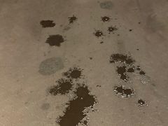 -威尔仕健身·游泳(KING88店)