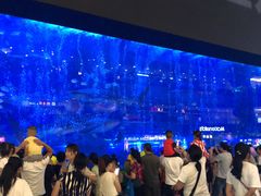 -成都浩海立方海洋公园