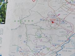 -梧桐山风景名胜区