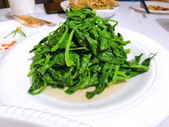 清炒豆尖-峨嵋酒家总店(车公庄店)