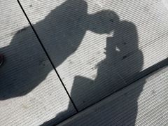 -哈尔滨大剧院