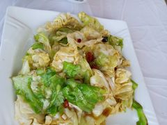 酱爆洋白菜-渔民船说·北塘海鲜·天津菜·海肠捞饭(北塘古镇店)