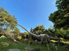 -自贡恐龙博物馆