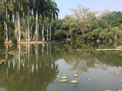 -中国科学院西双版纳热带植物园