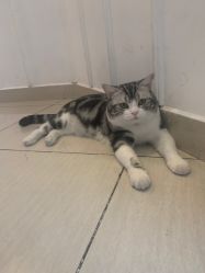 -长沙纹身·龙堂刺青·三土师傅的店