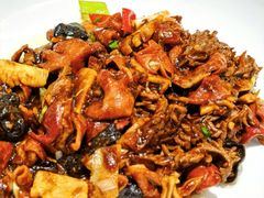 -新乾隆酒楼(帝景园店)