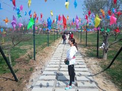 -天王浮山樱花园