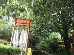 -黄山温泉国际旅游度假区