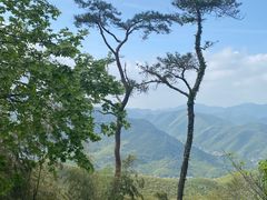 -莫干山风景区