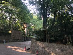 -之江大学-旧址