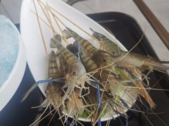 -阿杜打边炉(五江天街店)
