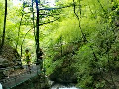 -藏龙百瀑风景区