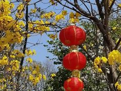 -东莞植物园