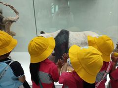 -京师阳光幼儿园(昌平园)