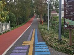 -上海长兴岛郊野公园