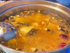 -千岛蚝高压锅生蚝·人参火锅(白云万达店)