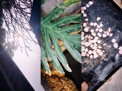 -厦门日月谷温泉渡假村