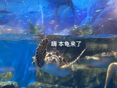 -欢乐海岸海洋奇梦馆