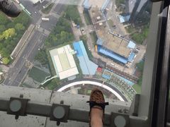 -东方明珠国际旅行社有限公司